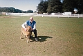 Ray Suring mini horses